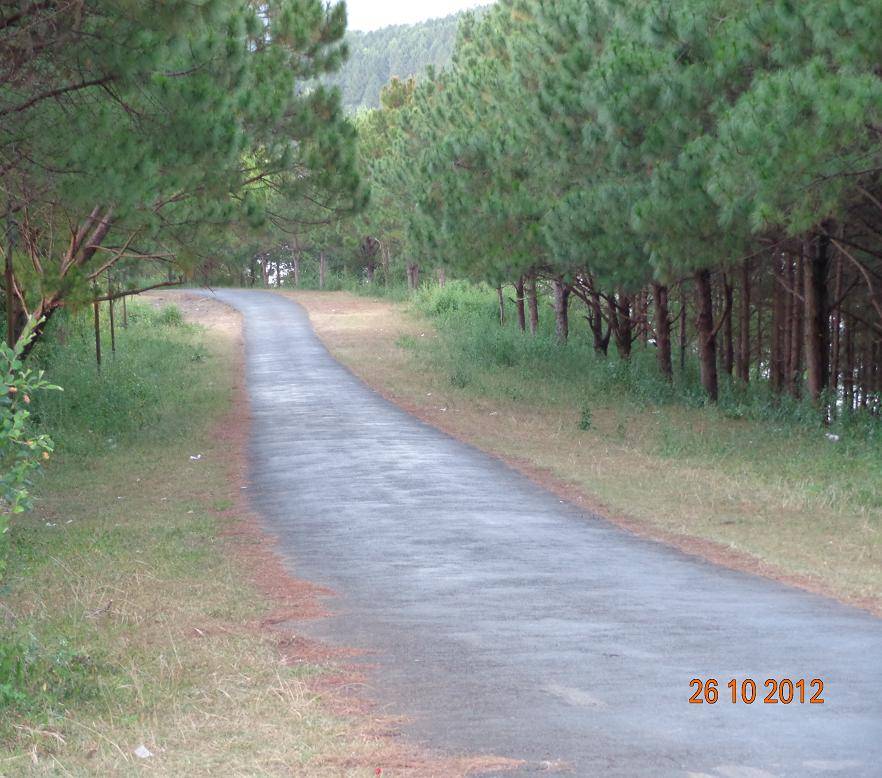 DSC00687R.jpg
