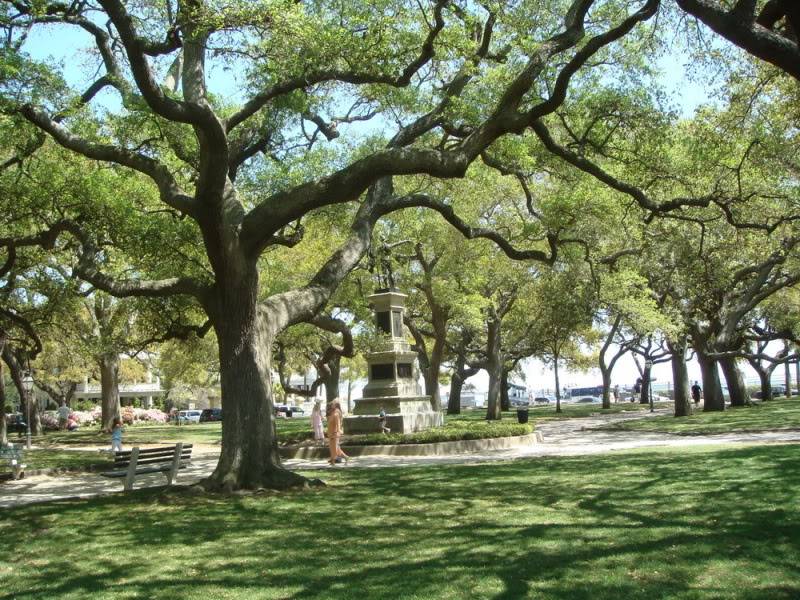 Charleston24.jpg