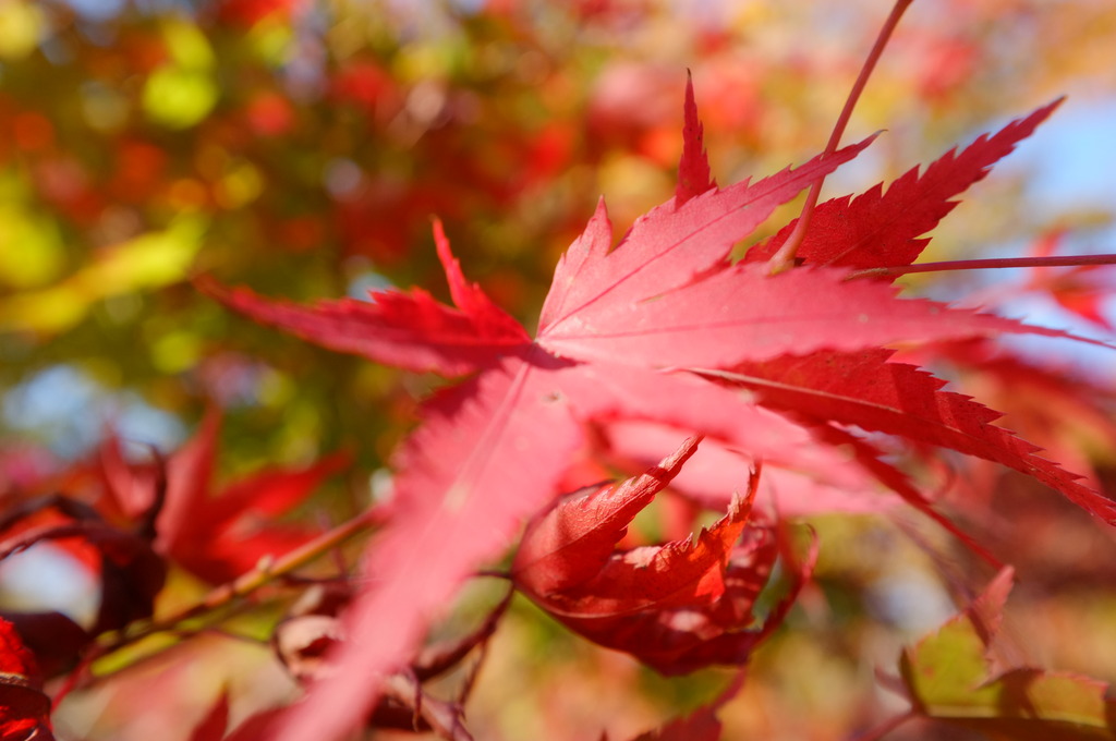 DSCF5839.jpg