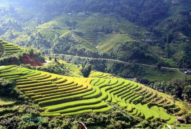 Hgiang83.jpg