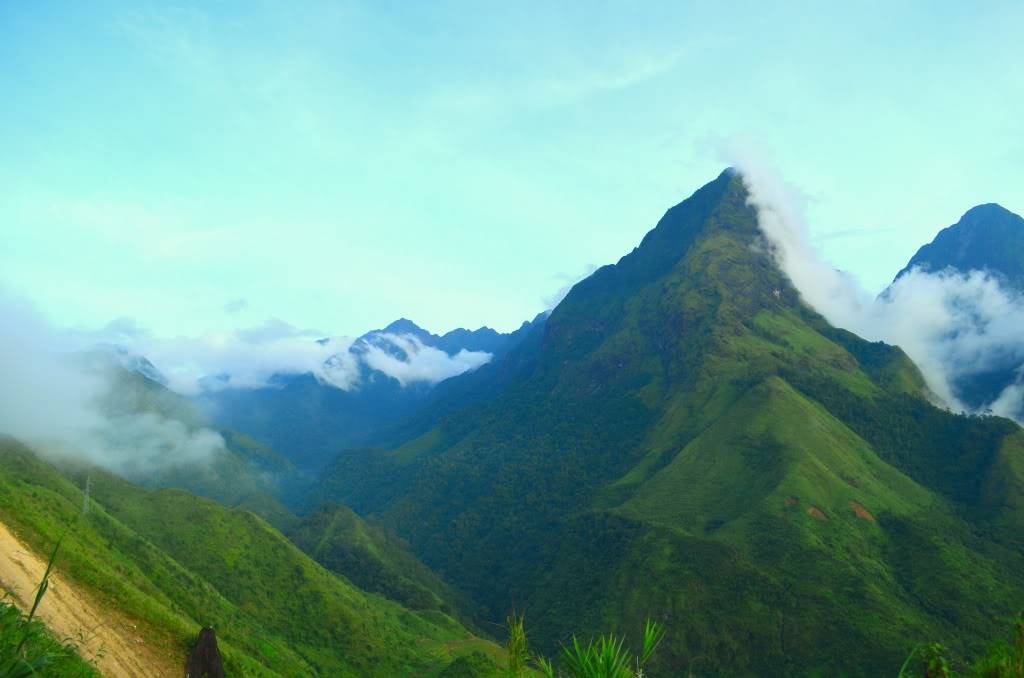 DSC_0562.jpg
