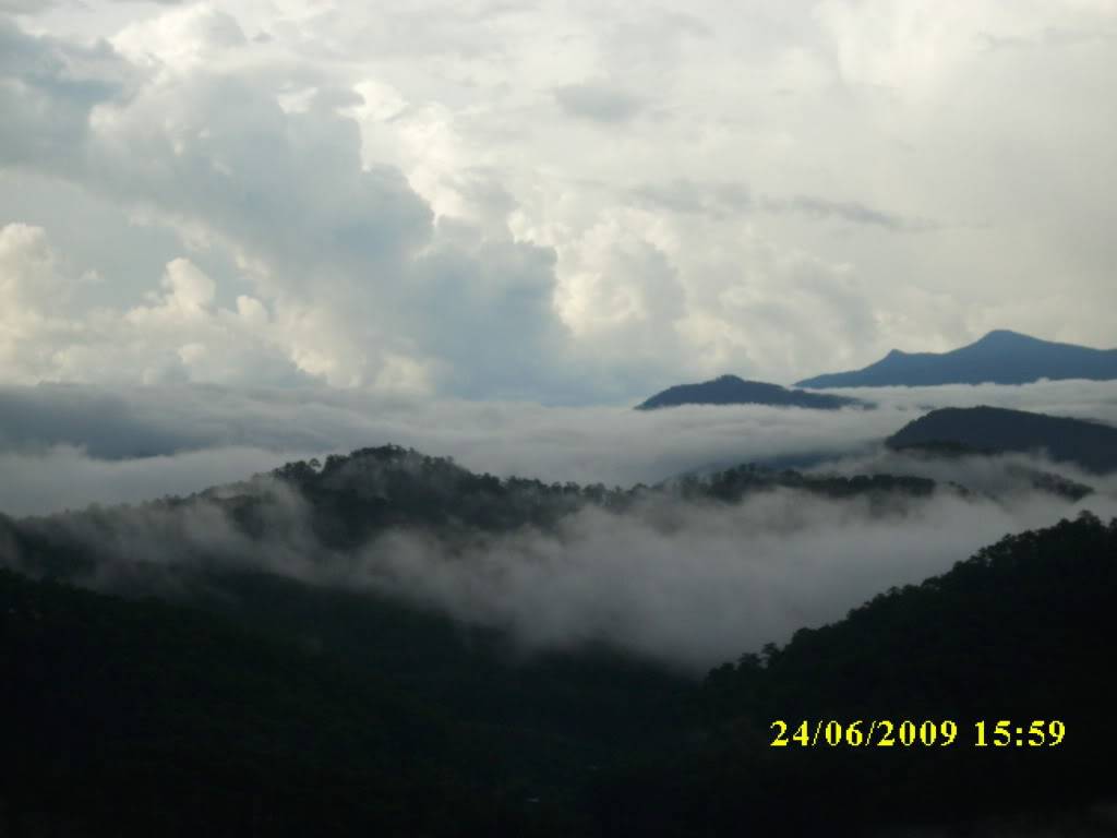 IMG_2561.jpg