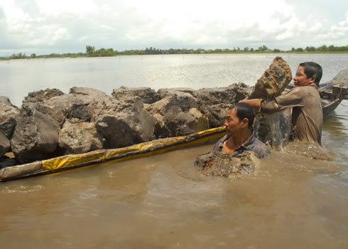 muu-sinh-lu-2-1.jpg