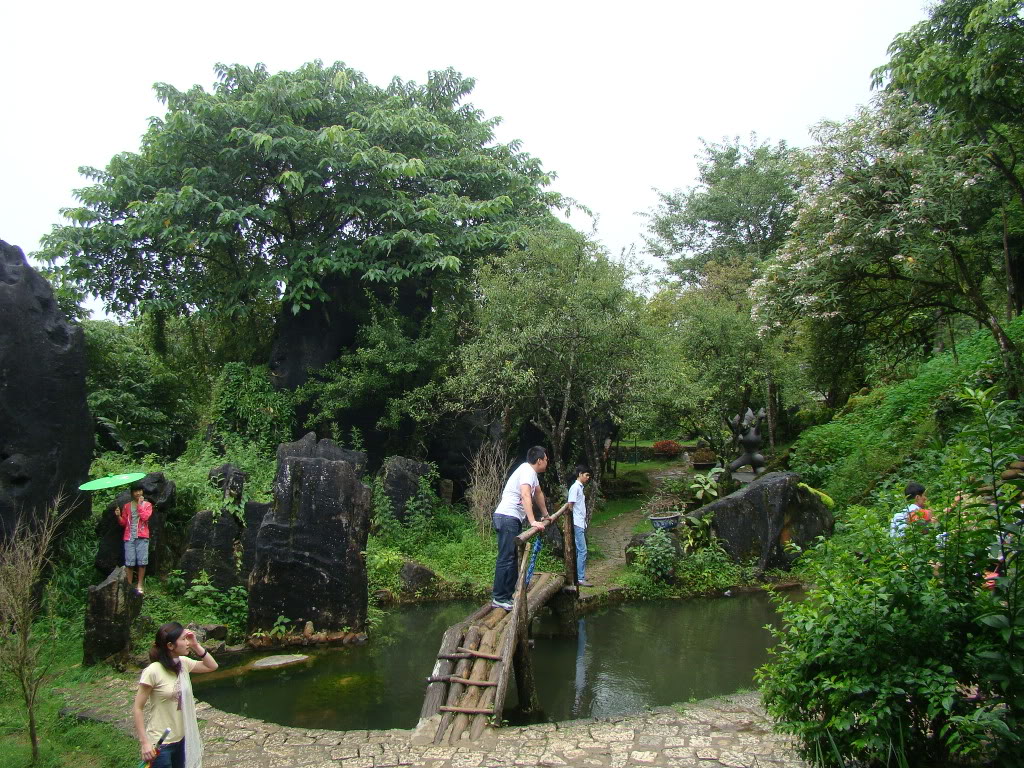 DSC09512.jpg