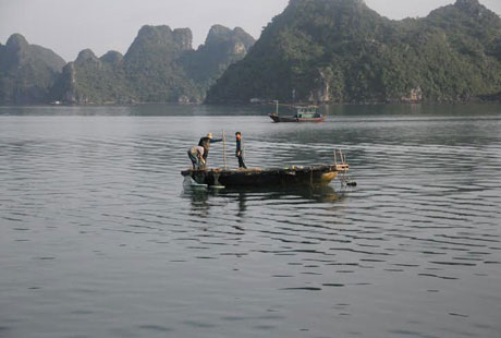anh2-b4cea.jpg