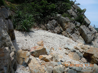 DSCN5409.JPG