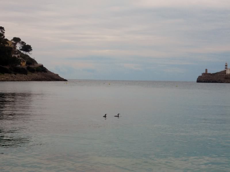 DSCN6164.jpg