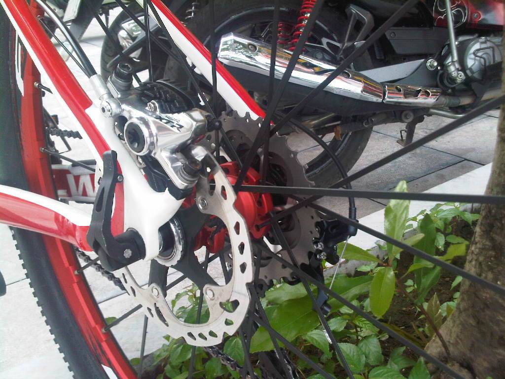 IMG-20120609-00401.jpg