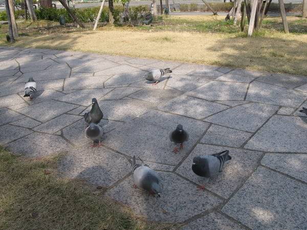 IMG_0966_resize.jpg