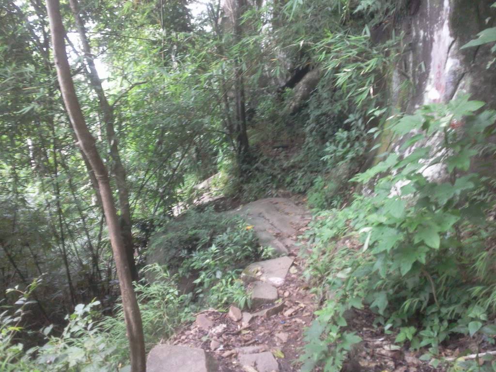 Photo0798.jpg