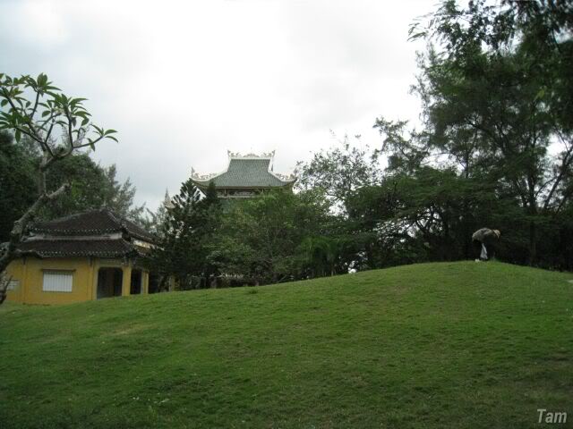 IMG_3576.jpg