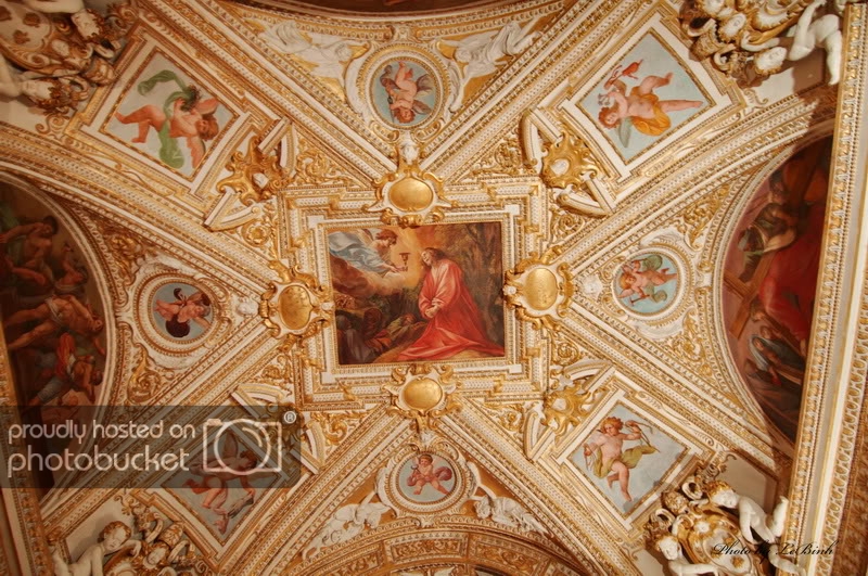 Y014.jpg
