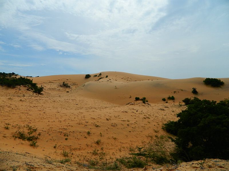 DSCN2107.jpg