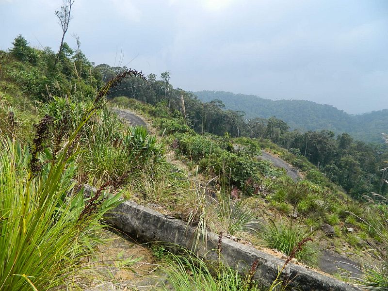 DSCN2607.jpg