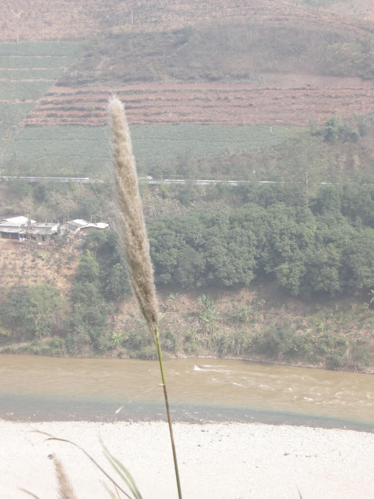 DSCN0247.jpg