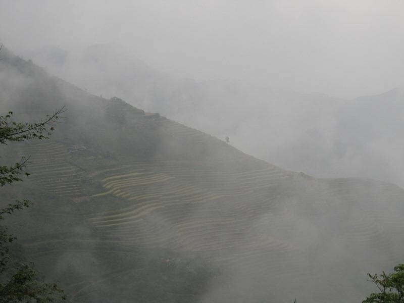 IMG_3126.jpg