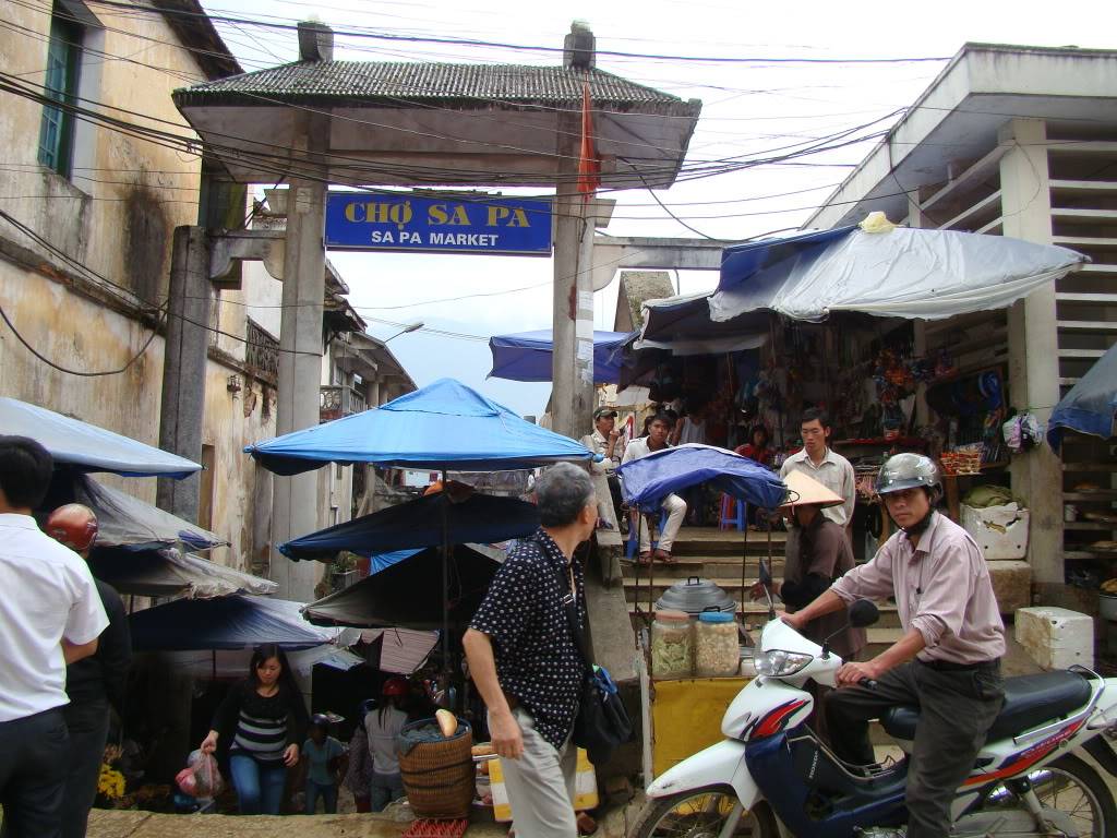 DSC09401.jpg