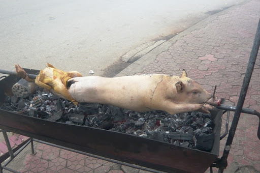 P1060036.JPG