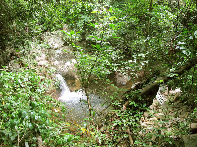 TayYenTu1010604.jpg