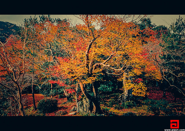 20566312168_0641d7e605_z.jpg
