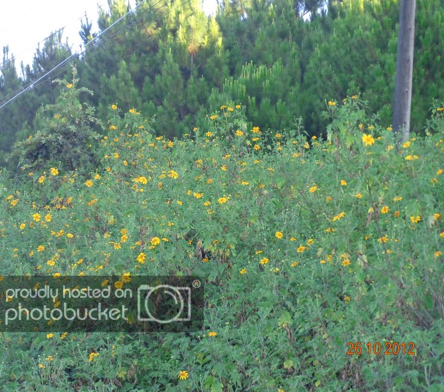 DSC00647R.jpg