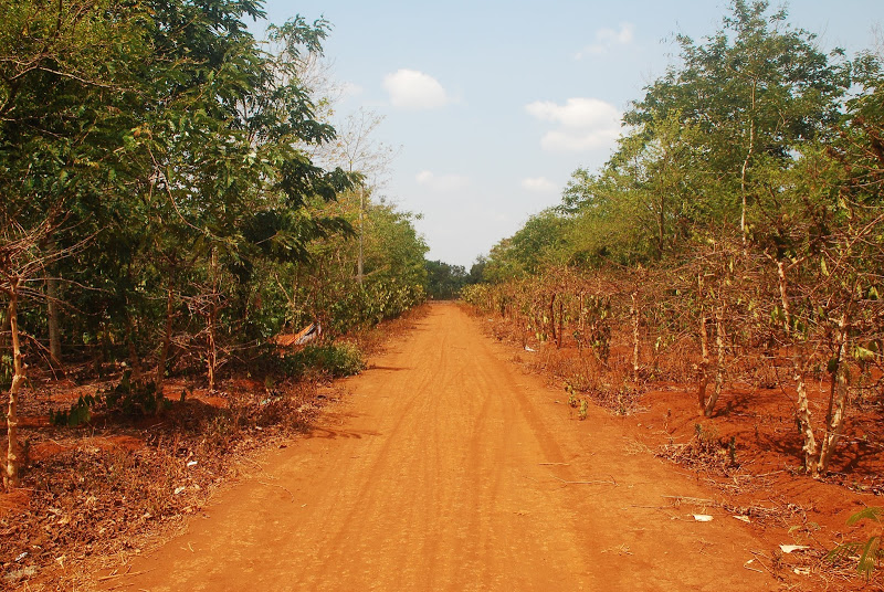 DSC_0155.JPG
