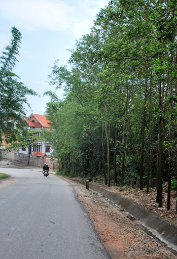 DSC_2163.JPG