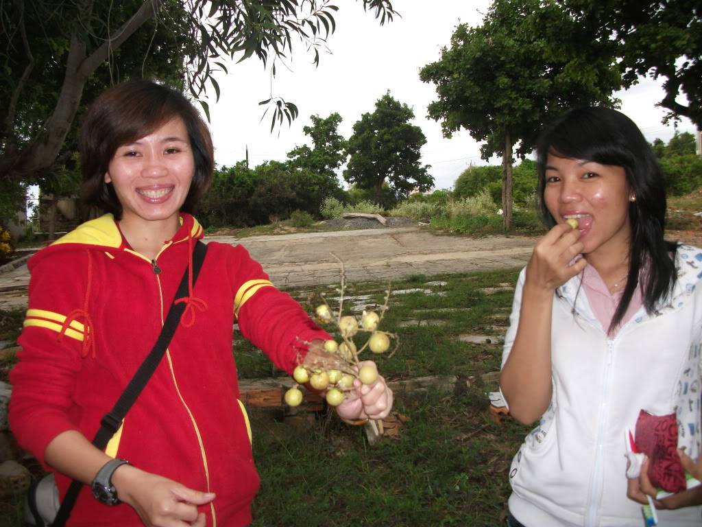 DSCF3854.jpg