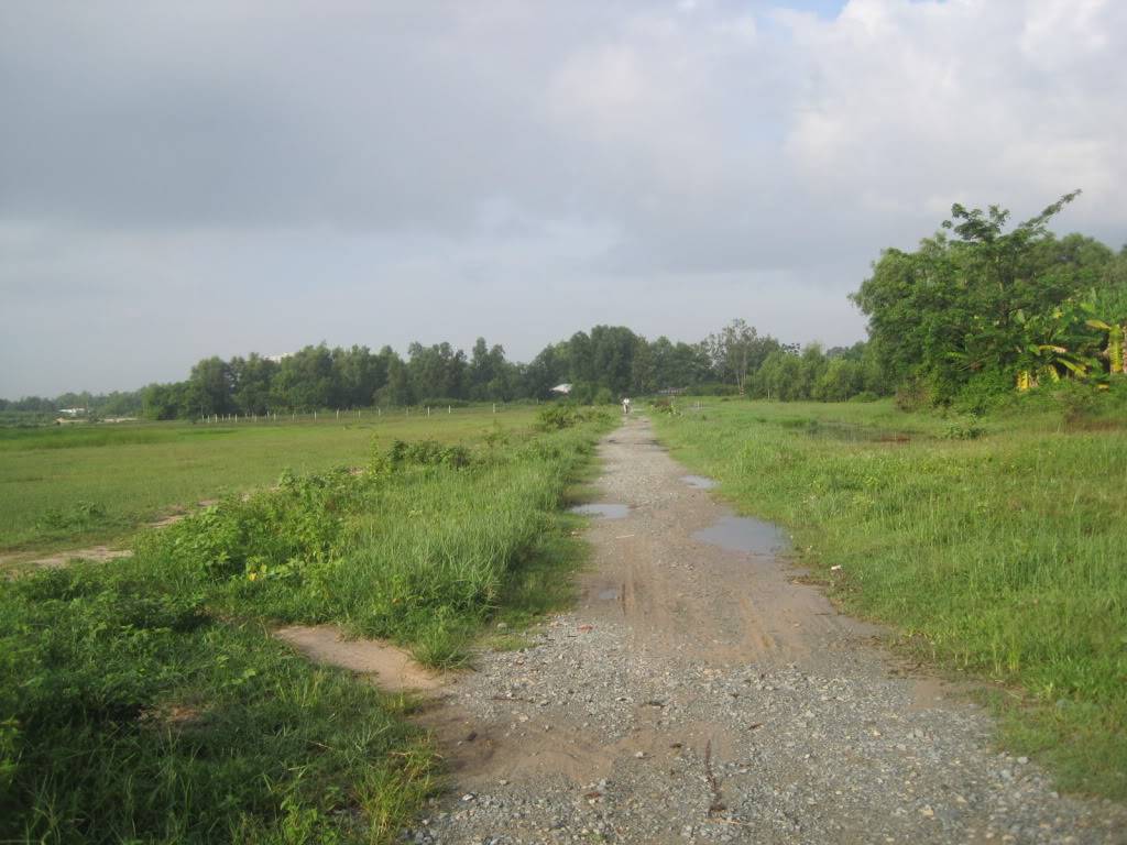 QL55QL28008.jpg