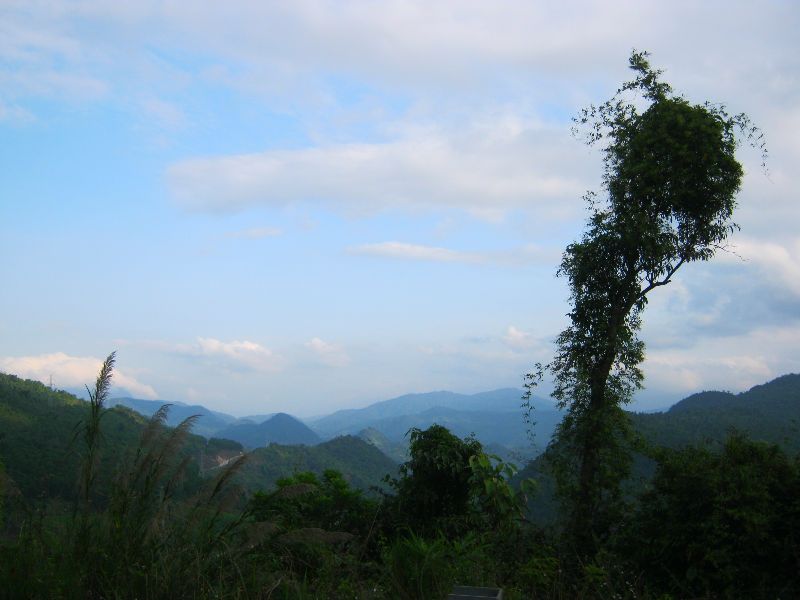 IMG_1565.jpg
