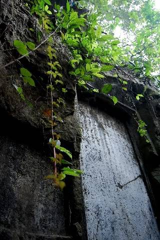 DSC_0340.jpg
