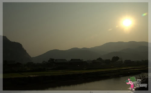 IMG_8869-1.jpg