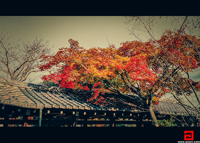 20133280133_df81701d20_z.jpg