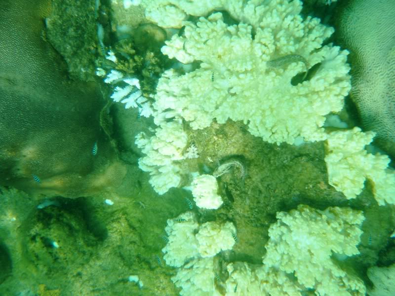 DSCF0122.jpg