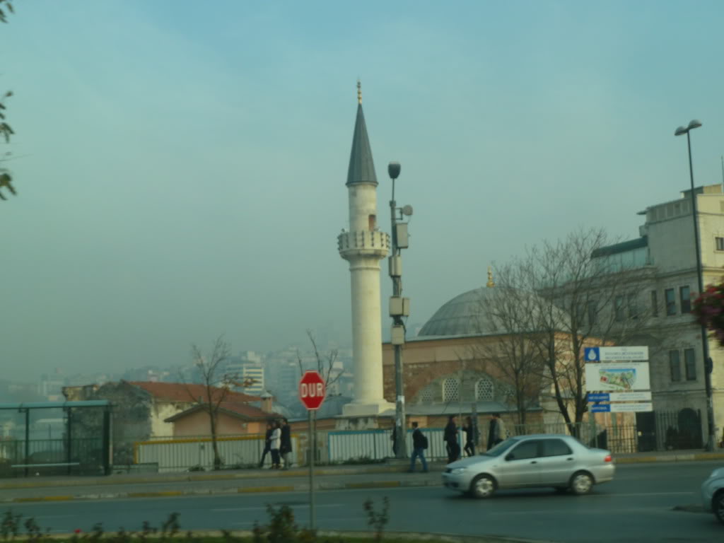 L1020643.jpg