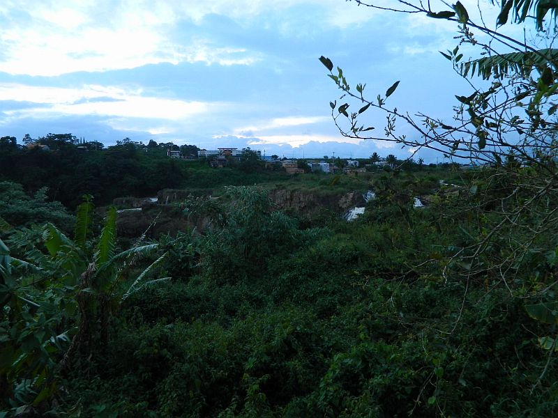 DSCN1639.jpg