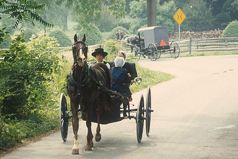 amish02.jpg