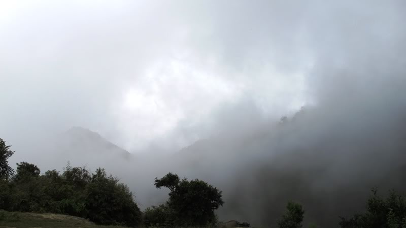 IMG_2418.jpg