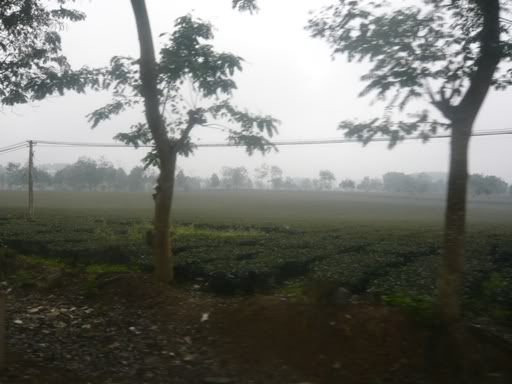 P1020423.jpg