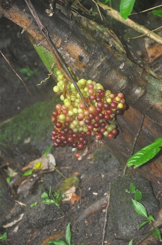 DSC_1034.jpg