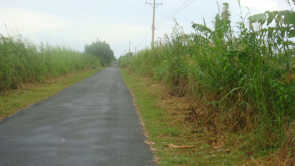 173.jpg