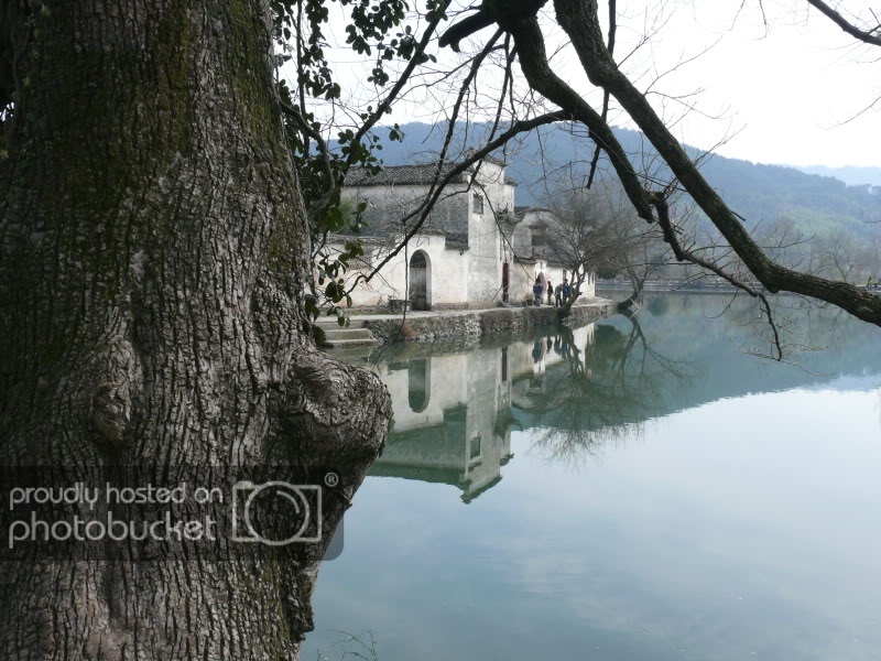 P1090815.jpg