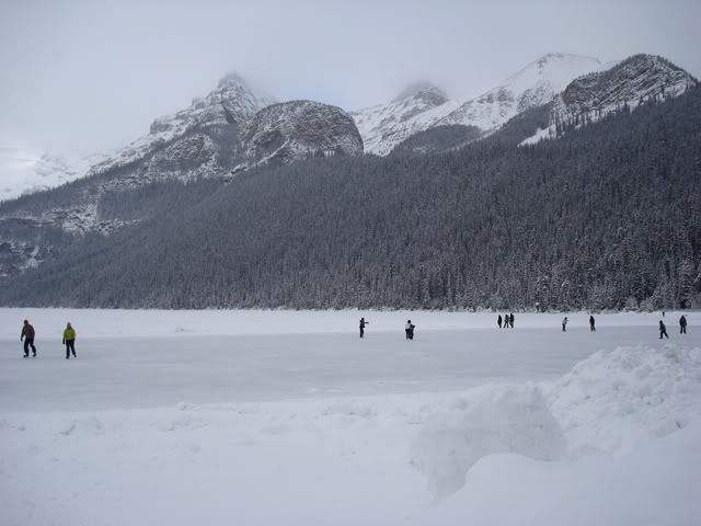DSC06984.jpg