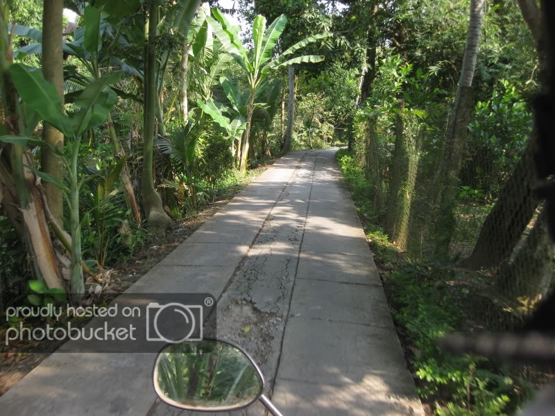DongThapTET2011066.jpg