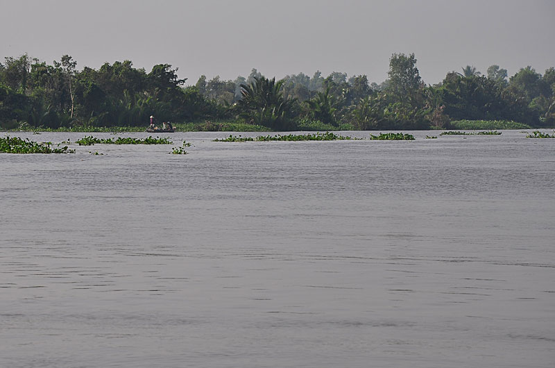 DSC_5365.jpg