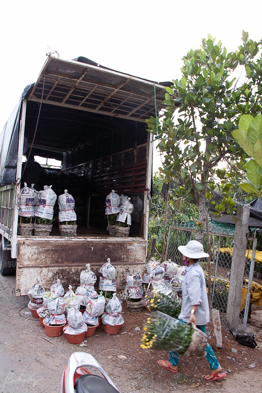 BenTre2-7461.jpg