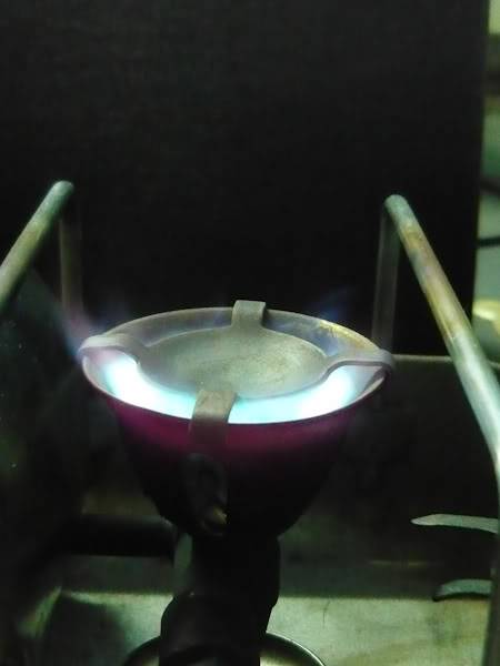 P1020161.jpg