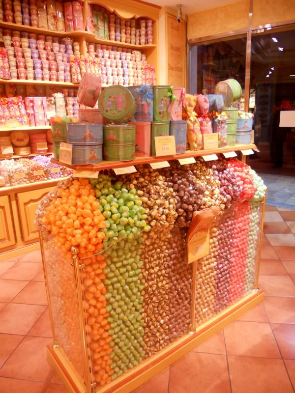DSCN6504.jpg