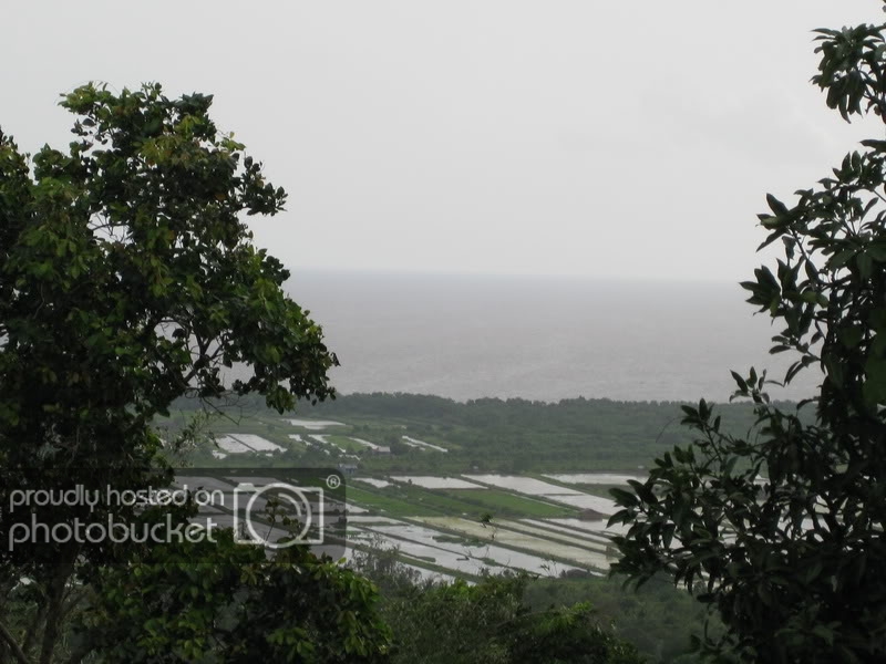 IMG_0261_resize.jpg