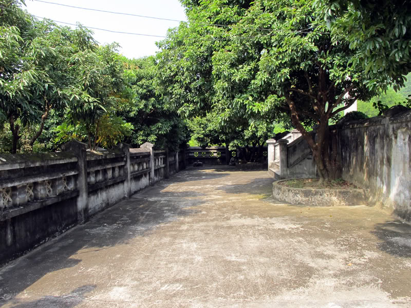 TayYenTu1010480.jpg